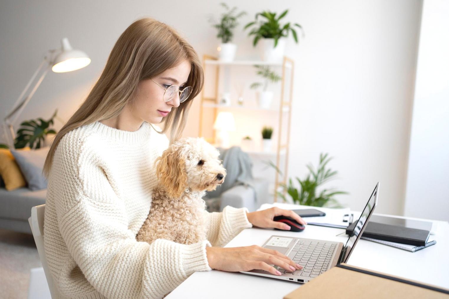 Caso de estudio de mejora de conversión web